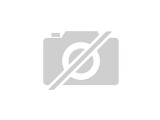 Verkaufe edelpspagai pärchen aus neugeria
